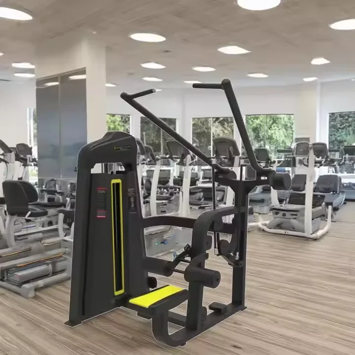 

Professional Dual Strength Gym Equipment Body Fitness Machine Muscle Building Machine Abdominal Back Extension Pull-down Machine