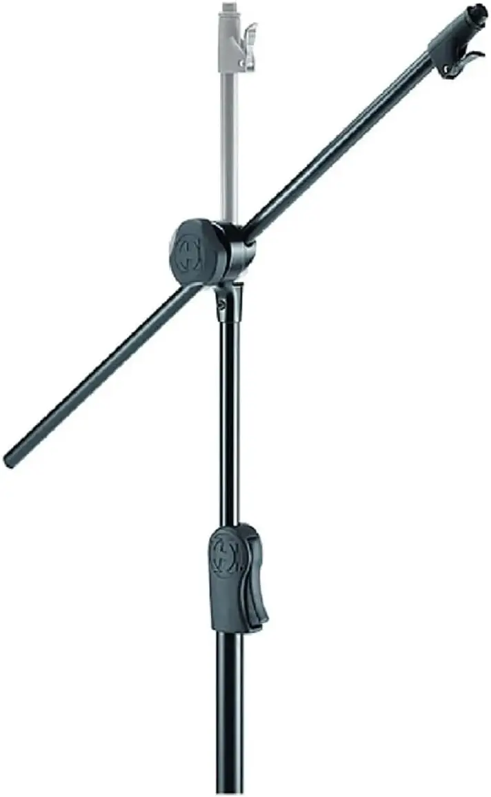 

Professional Microphone Stand with Hideaway Boom, 2-Inch Mount for Studio Recording and Live Performances