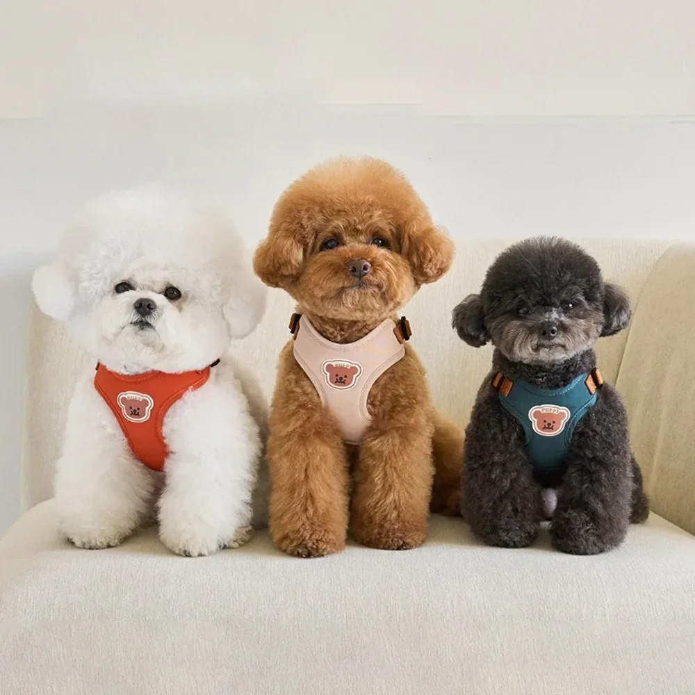 Conjunto De Laisse Réglable Pour Animaux De Compagnie, Bear Mignon, Réglable, Respirante, Perno, Chat, Chien, Fournitures