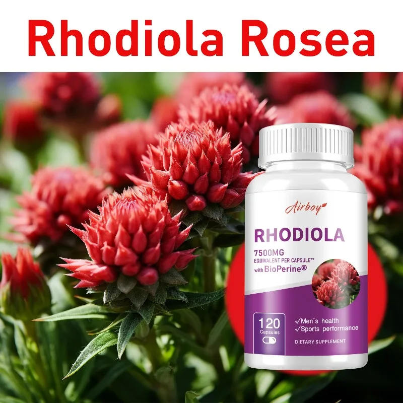 Rhodiola Supplement - Supports Brain and Cognitive Function Health, Regulate Mood, Reduce Stress, Improved Athletic Performance