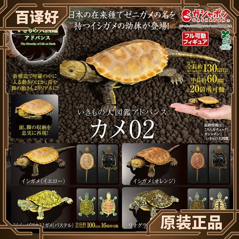 

Bandai Bio'S Large Illustrated Guide 2, Brazilian And Japanese Stone Animal Simulation Movable Model Orname