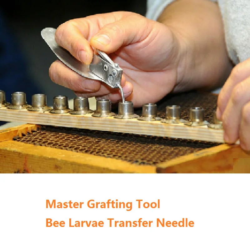 

Queen Bee Larvae Transfer Needle Transferring with Spare Tongue Master Grafting Tool for Queen Bee Cultivation Beekeeping Tools