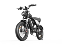 YVY C20 Electric Bike 48V20AH Lithium Battery 1500W Dual Motor Mountain Motorcycle Electric Bicycle 20*4.0 Fat Tire E-bike