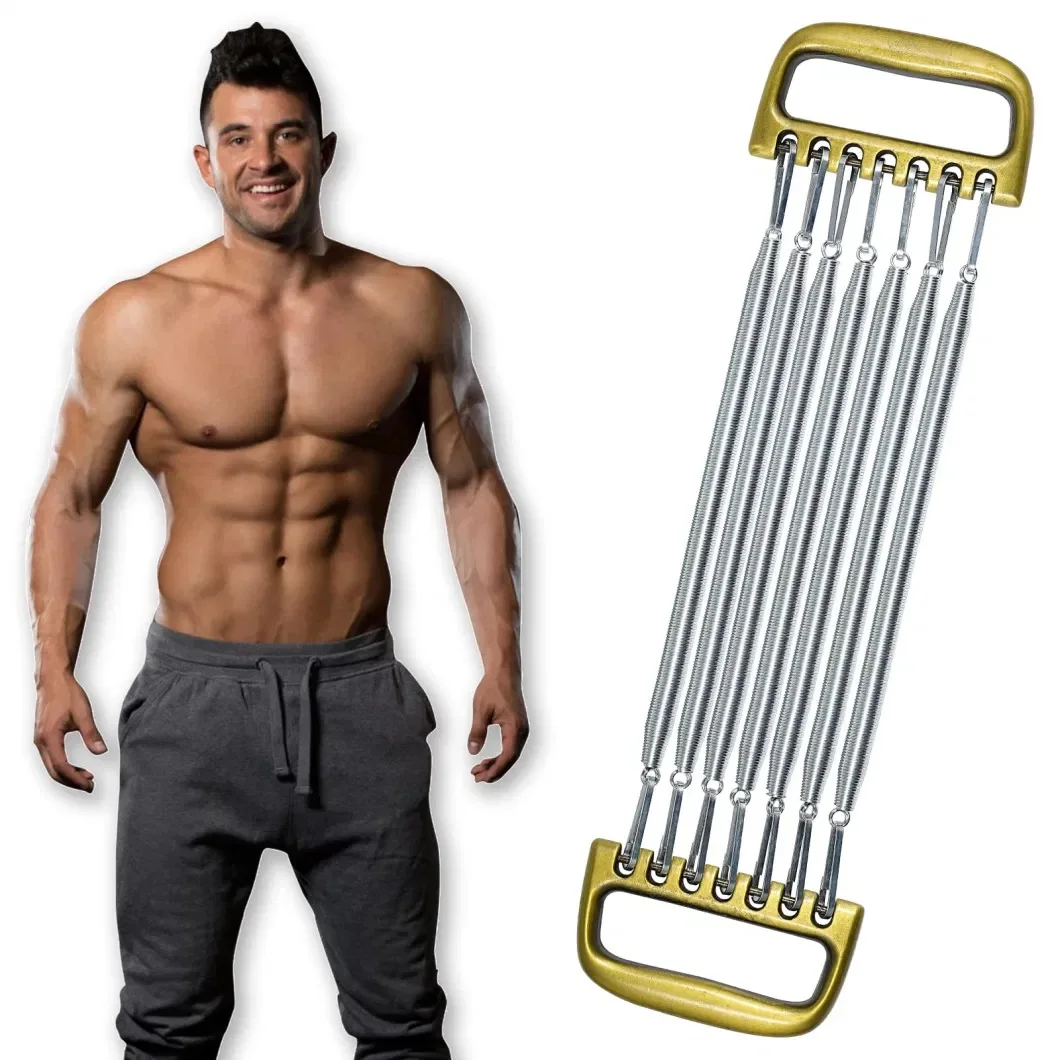 

Chest Expander Training Muscles Strengthen Fitness Home Office Arm 7 Spring Exercise Body Building Workout