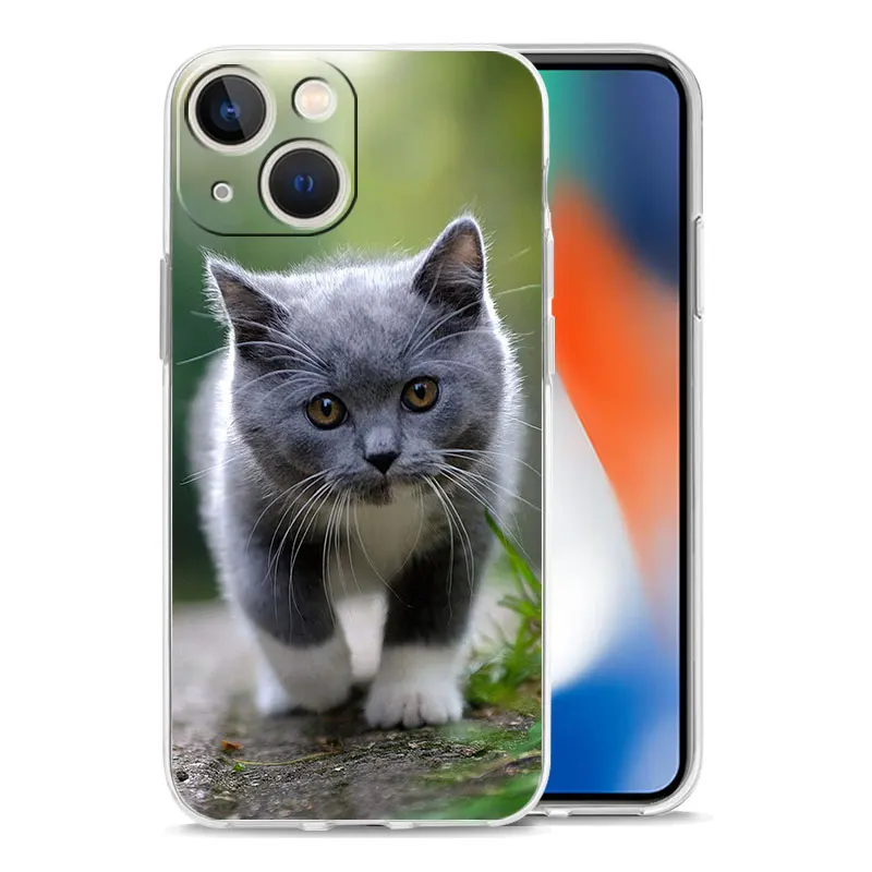 Cartoon Cute Cats Background Luxury Clear Phone Case For iPhone 15 16 14 13 12 11 Pro Max XS X XR SE 7 8 Plus Shockproof Cover