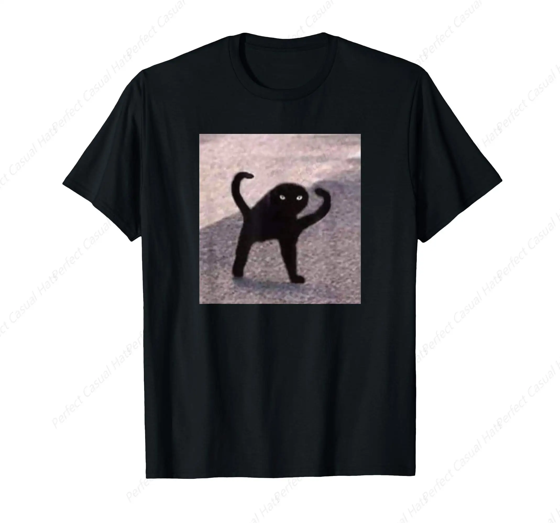 Cursed Cat Angry Meme T-Shirt Men Woman T-Shirt Casual O-Neck Printed High Quality Tees Tops