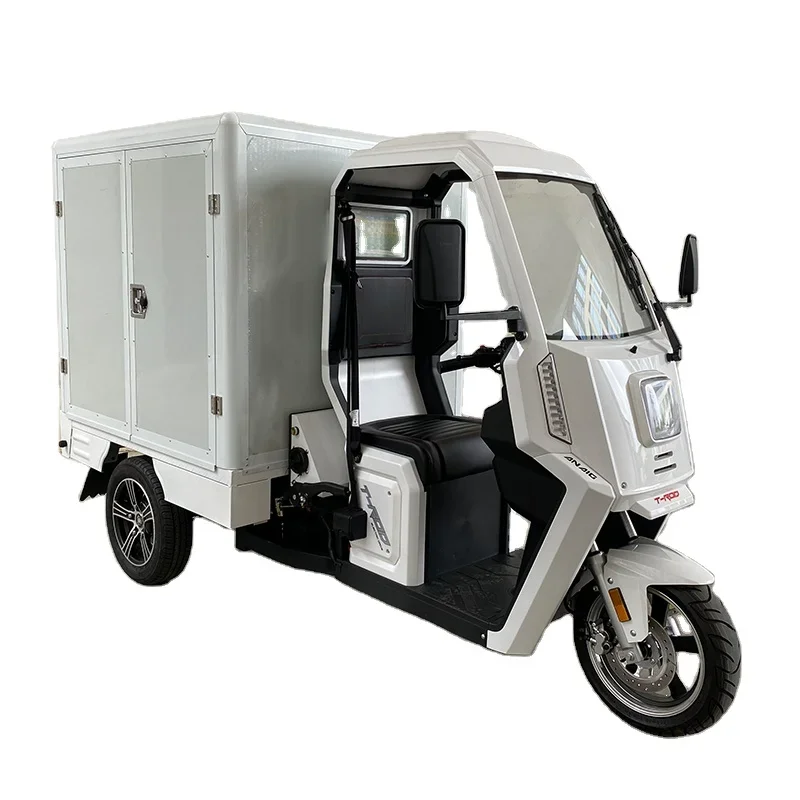 With Truck Box 3KW 4.5KW EEC Motor Lithium Battery Three Wheel Electric Automatic Adult Electric Tricycle