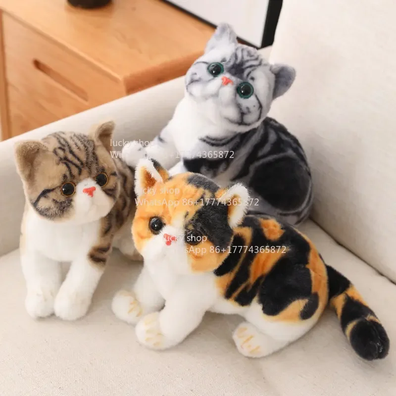 Ragdoll Cat Doll Healing Plush Toy Three-color Cat Doll Tabby Cat Girl Children's Gift
