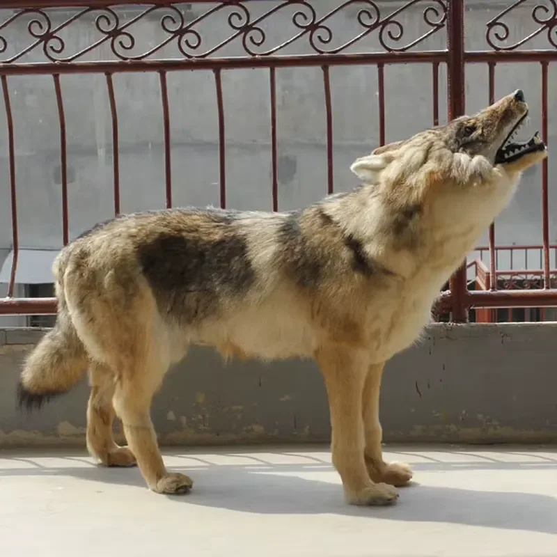 for Lifelike Big Wild Wolf Plush Toy Realistic Animal Stuffed Doll Soft Pillow Home Decor Gift for Kids Boys Girls Bedroom