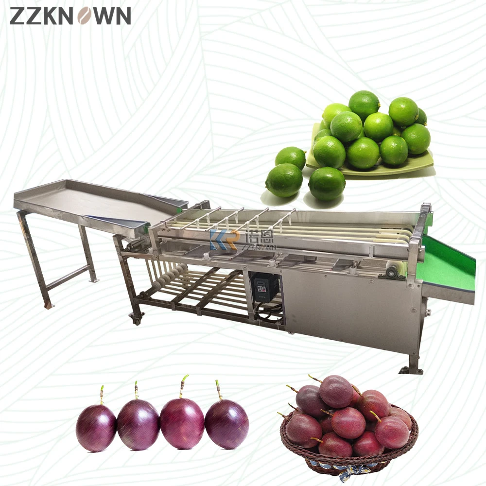 2T/H High Efficiency Fruit Selecting Equipment Fully Automatic Almond Blueberry Guava Grading Machine