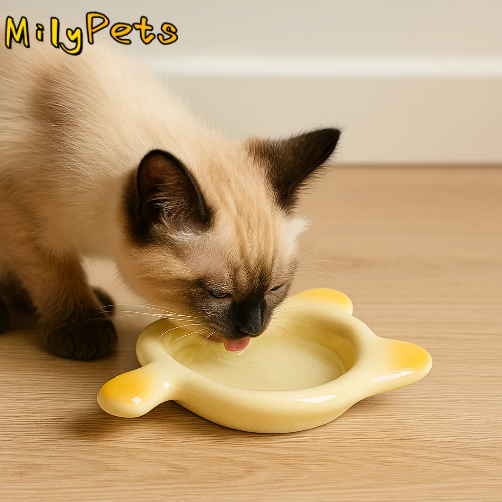 وعاء قطة من السيراميك غير قابل للانزلاق مضاد للقيء مع مقبض حاوية مياه طعام الكلاب ثابتة وسهلة التنظيف صينية الوجبات الخفيفة للحيوانات الأليفة طعام جاف رطب #1