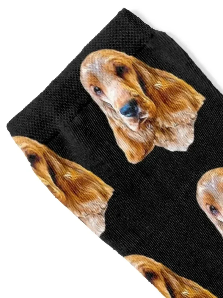 Cocker Spaniel Gold Beauty Socks happy kawaii Men's Socks Women's