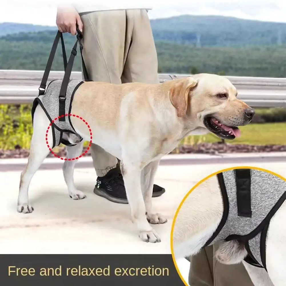 Injured Dog Hind Leg Auxiliary Strap Elderly Injured Dog Supplies Rehabilitation Belt Comfortable Traction Auxiliary Pet Be S5q5