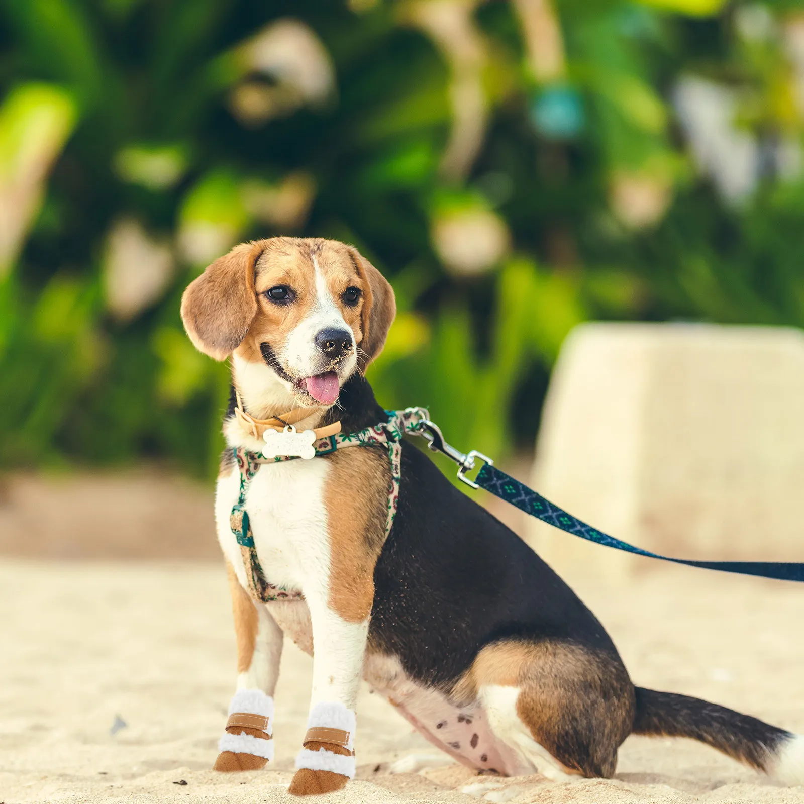 

2Pairs Pet Winter Boots Dog Short Boots Outdoor Hiking Running Shoes Paw Protection Anti Skid Pet Snowshoes Paw Protectors