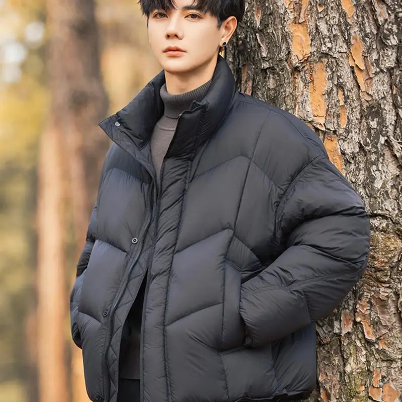 

Мужская зимняя утепленная куртка-пуховик Cloud Bread с воротником-стойкой, свободного кроя, ветрозащитная, теплая, повседневная, на пуху