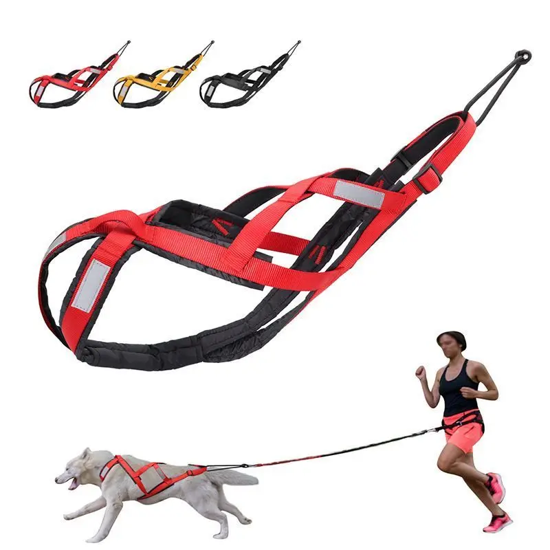 Suministros para mascotas, correas para perros, carros extraíbles, correas adecuadas para perros, trampas y correas disponibles.