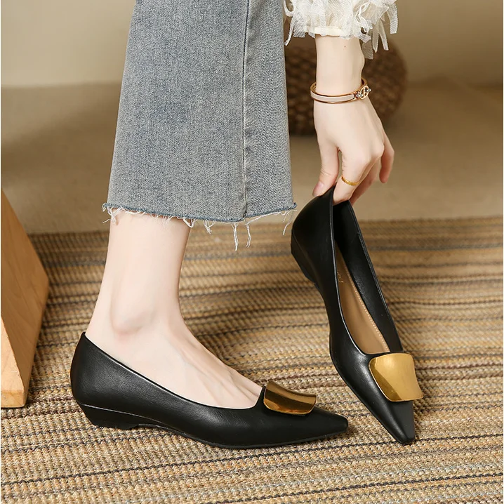 French Low-heeled Single Shoes for Women Fashion Slip on Lady Pointed Toe Square Heel Comfort Party Wedding Pumps Bombas Mujeres