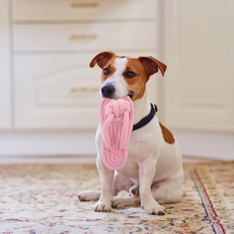Thumbnail 2 - #45 Best Dog Chew Toys to Buy In 2026