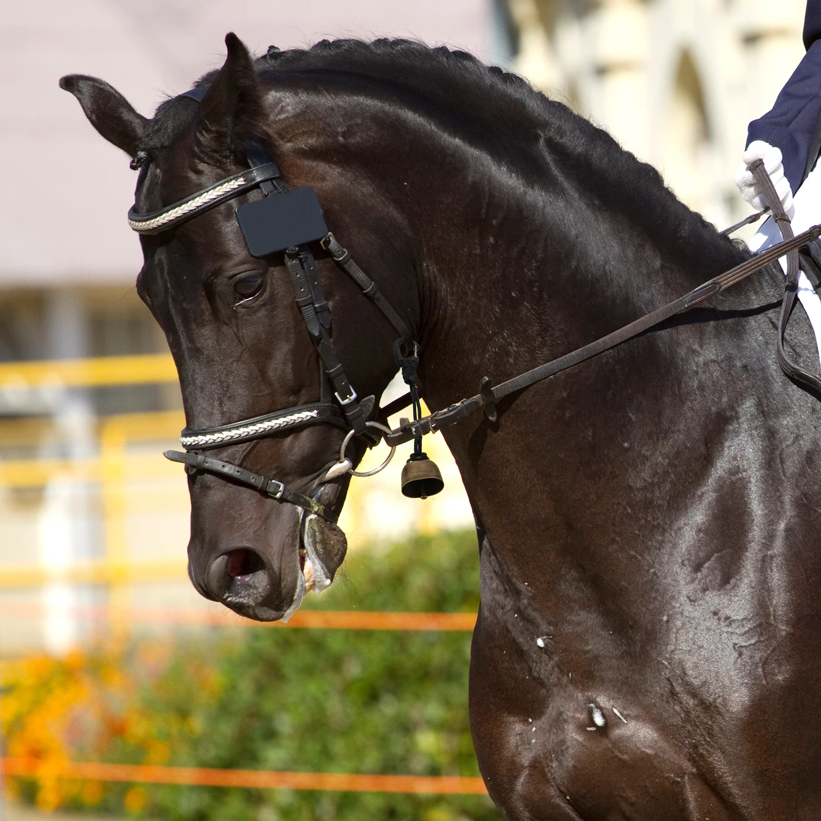 

Bear Protection Vintage Cow Bell For Hiking Camping Pet Antilost Outdoor Avoid The Bear Bell Survival Wildlife Warning Bells