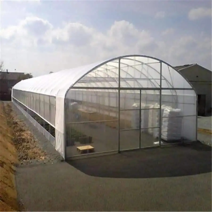 

Customized greenhouseHot Galvanized Steel Single-Span Film Greenhouse Tunnel Greenhouse With Ventilation System for Agriculture