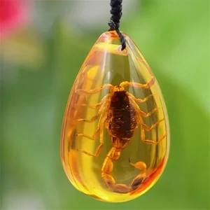 مجوهرات مصنوعة يدويا من راتنج العنبر ، قلادة حشرات طبيعية ، تشمل العقارب ، قلادة ، سحر ، حجر زخرفي للمنزل ، هدية سفر أفضل 8 دمى Jaspion مبيعا - رقم 5