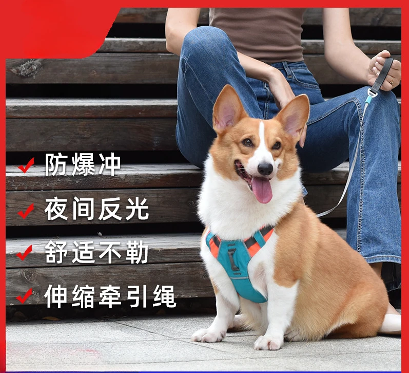 New popular dog leash, integrated chest strap, automatic telescopic anti-explosion, universal chest strap for walking dog strap