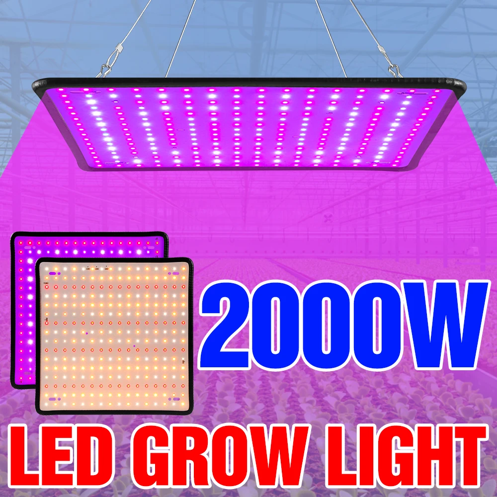 

LED Lamp Full Spectrum Indoor Plant Grow Light 2000W Phyto Lamp Hydroponic LED Growth Light Greenhouse Phytolamp For Seedlings