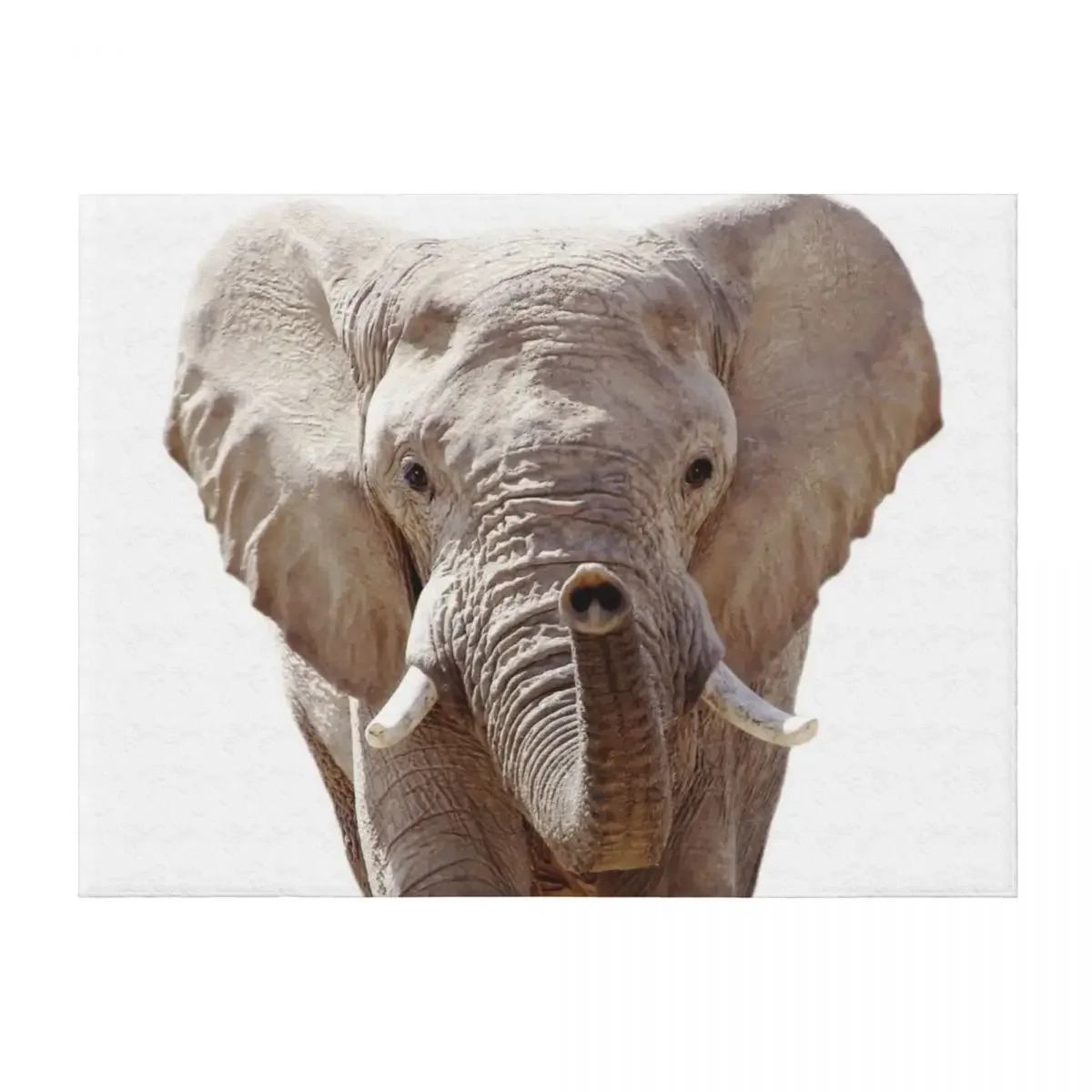 

Elephant Throw Blanket Flannels Flannel Hair Sofa Throw Blankets