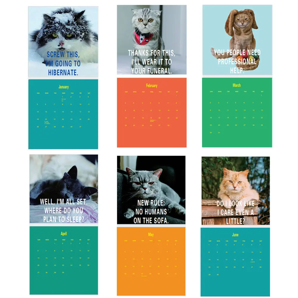 2025 Pissed Off Cats Calendar, Pissed Off Cats 2025 Wall Calendar, 12 Month Planner for Joke Present, Sassy Present for Cat love