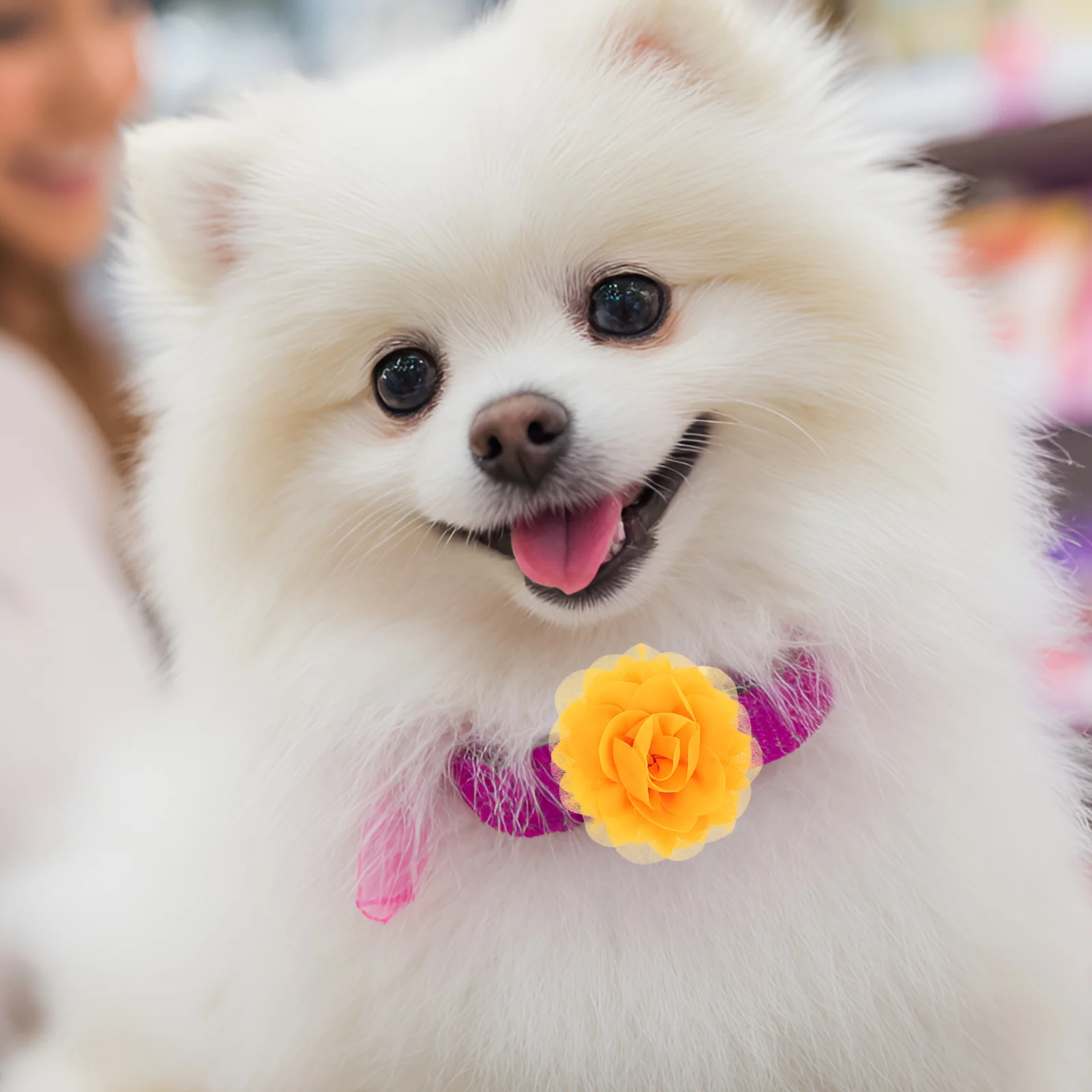 

20pcs Pet Flower Collar Dog Flowers for Collars Elegant Chiffon Lightweight Fade Resistant Durable Colors Easy Use for Cats