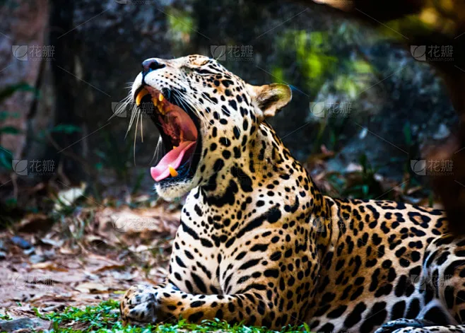 

Комплект рулевых кулаков 1/10 из сплава для радиоуправляемых моделей автомобилей