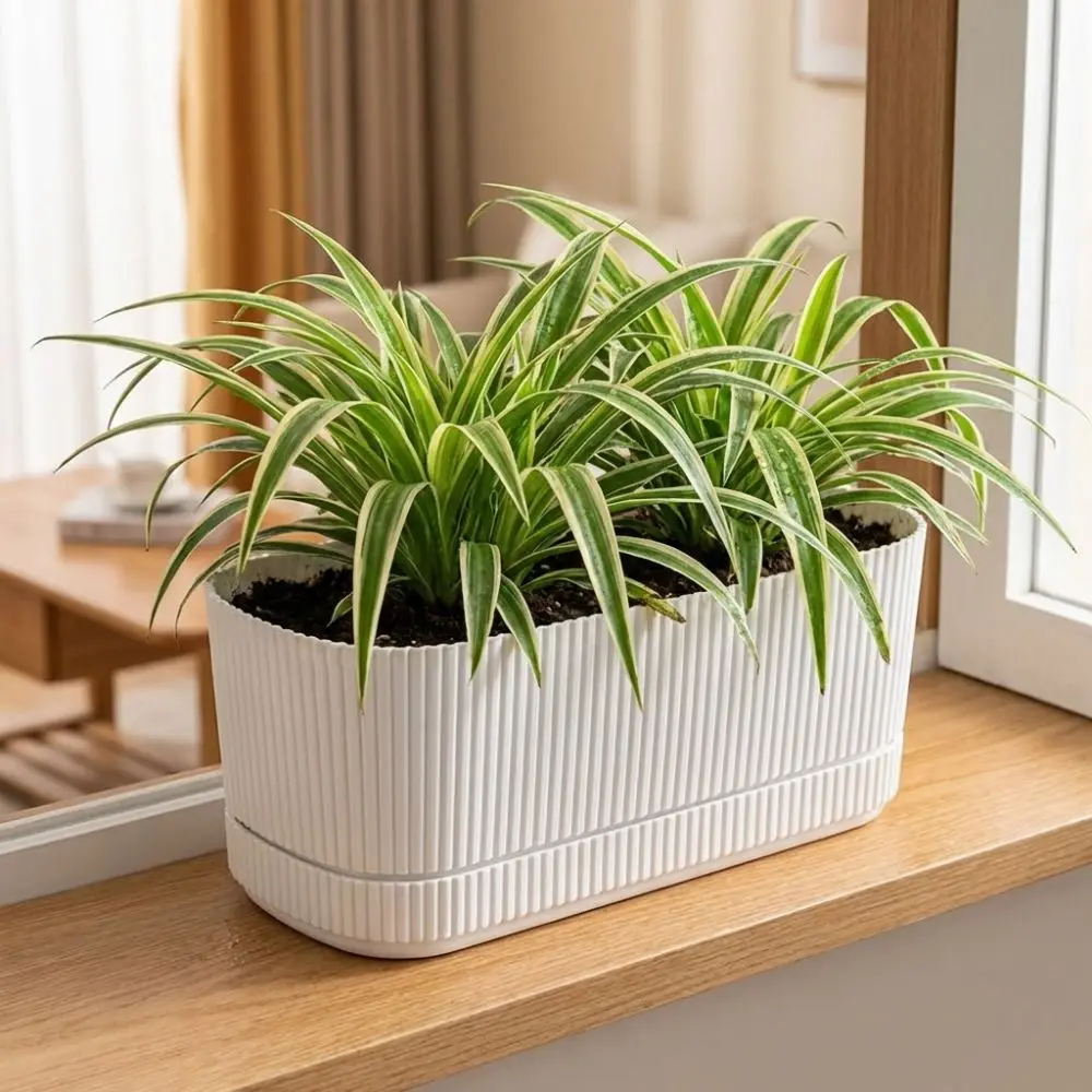 Double Layer Self Watering Flower Pot with Drainage Hole Plastic Lazy Plant Pot Large Capacity