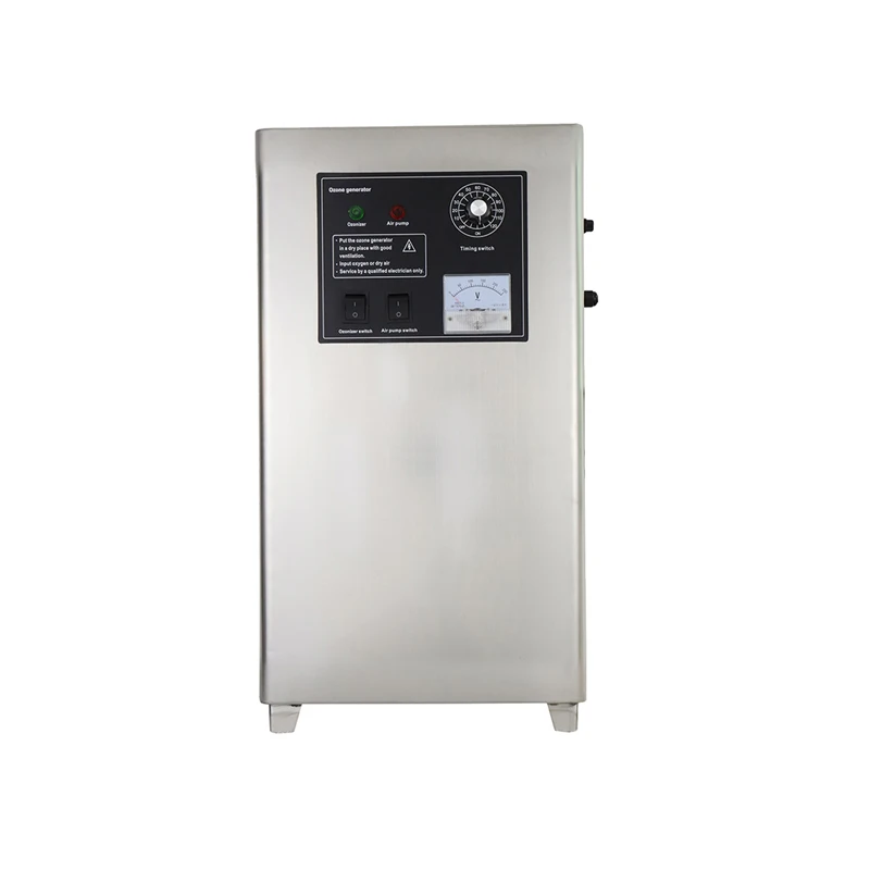 10G/H High Quality Portable Customizable Ozone Generator for Drinking Water customized