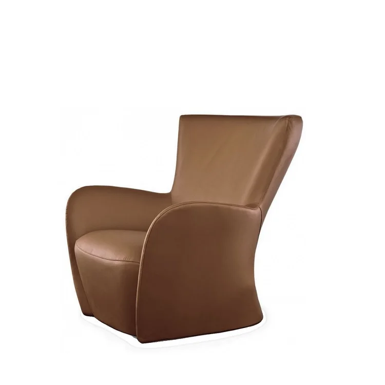 

Nordic Designer Single Fiberglass Leisure Chair Creative And Stylish For Modern Living Room Dining Bedroom Hotel Use