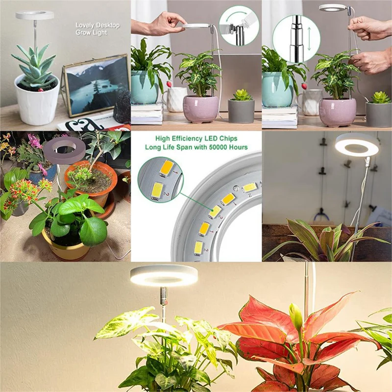 Luz LED de espectro para plantas de interior, luz de crecimiento de altura ajustable para flores y bonsái, crecimiento de plantas