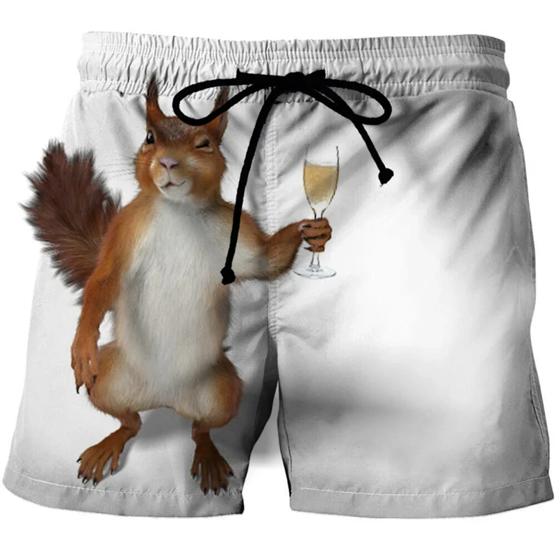 Funny Animal Squirrel Graphic Short Pants Summer Fashion  Cute Pet 3D Printed Beach Shorts For Men Casual Trunks Gym Trousers