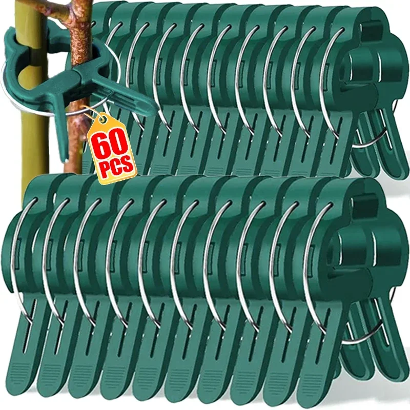20/60PCS Reusable Plant Fixed Clips for Tomatoes Cucumber Climbing Plants Organizing Branch Vine Support Clip Supplies Wholesale