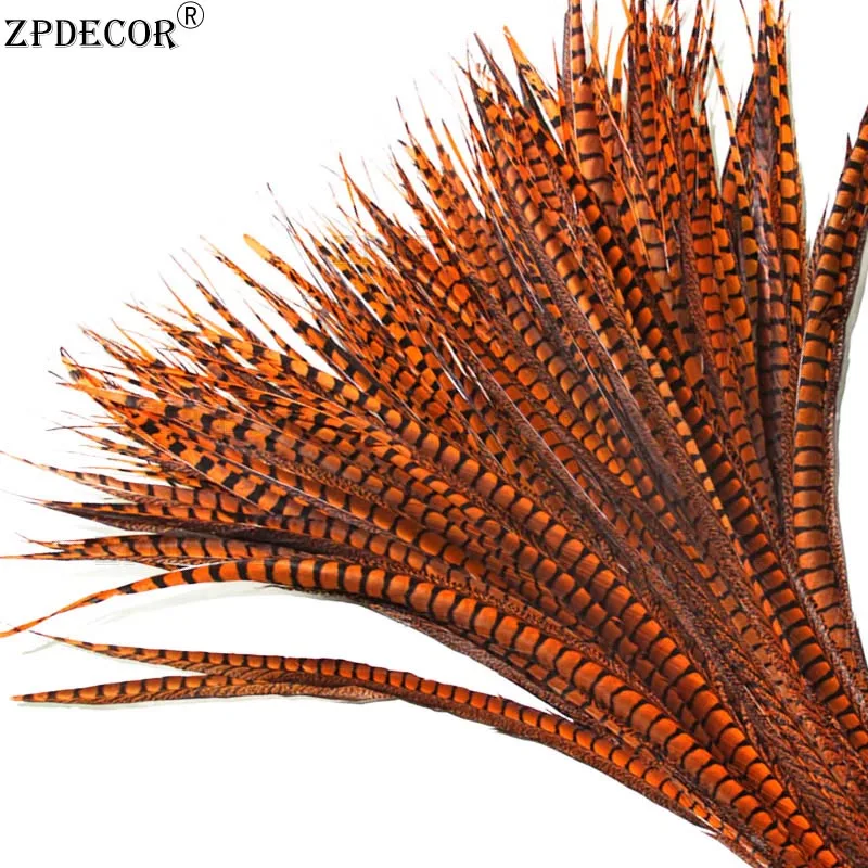 ZPDECOR Natural Lady Amherst Pheasant Feathers Size 110-120cm 44-46 Inch for Carnival