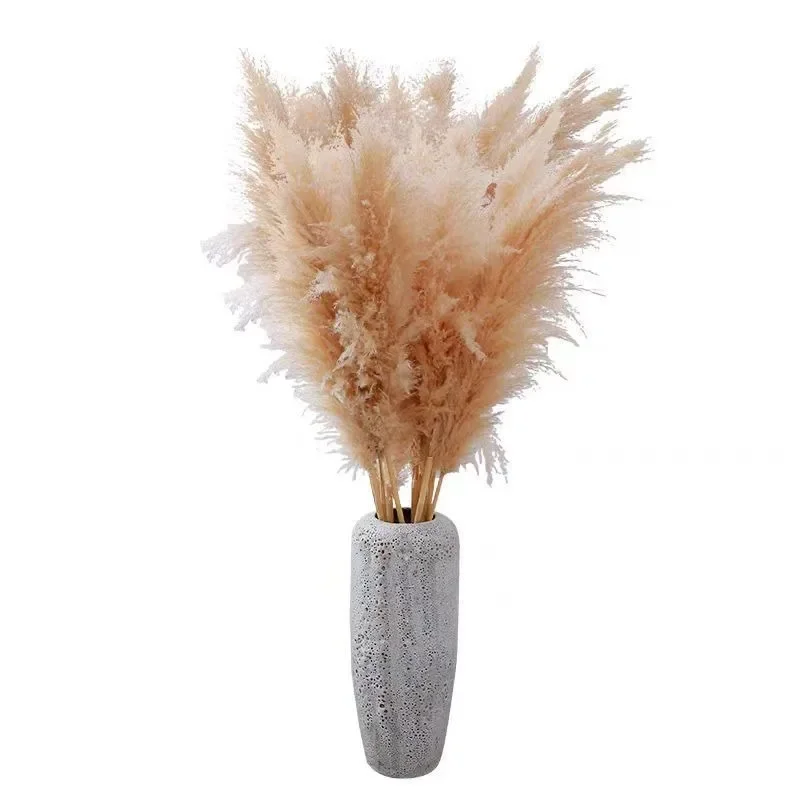 

Bouquet of dried reeds, living room ornament, simulation ornament