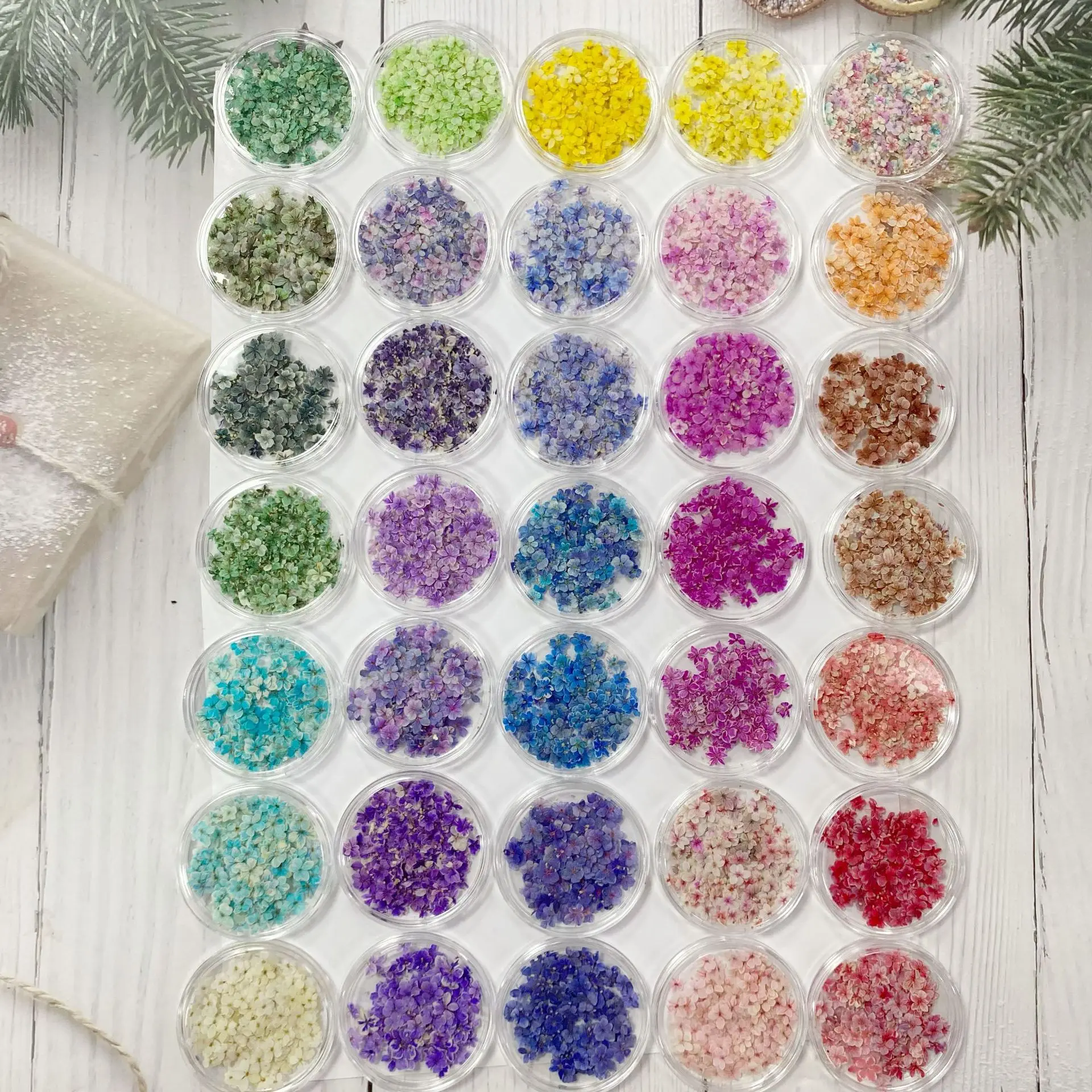 Thumbnail 3 - #11 Trending Dried Flowers Right Now