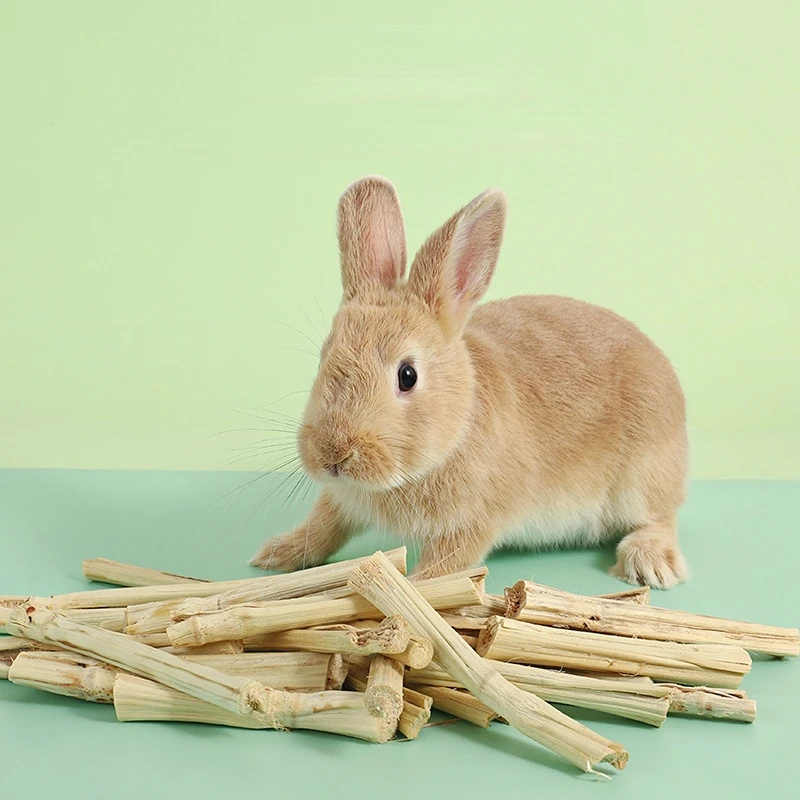 100g Rabbit Chew Sticks Natural Apple Tree Branch Molars Sweet Bamboo Sticks Teeth Clean Bite Toys for Guinea Pigs Hamster