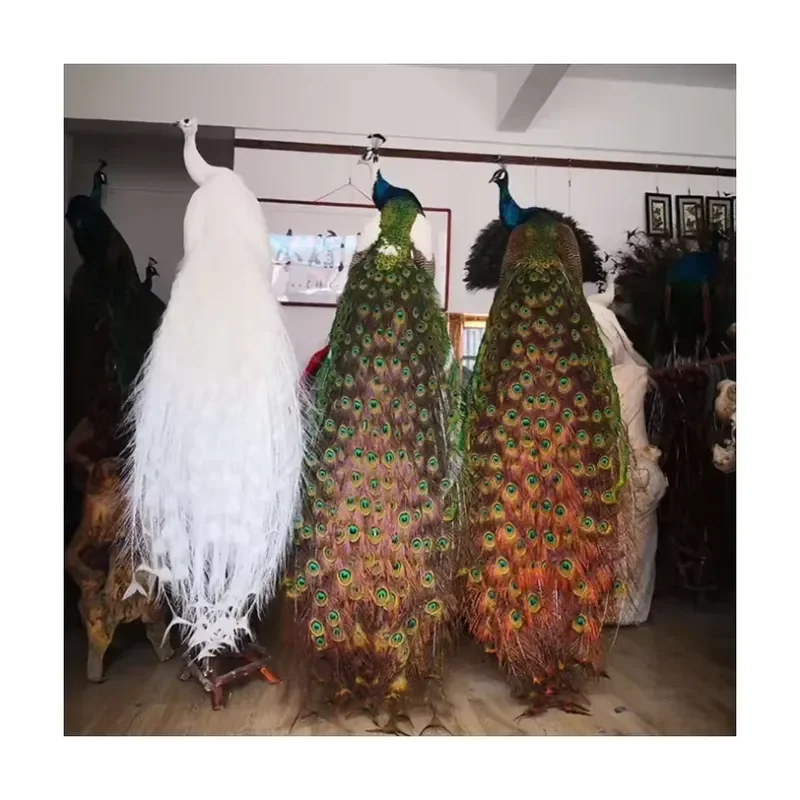 for Peacock White Life Size Simulated Animal Fur Real Specimen Wedding Home Christmas Party Decor Craft Display Prop Gift