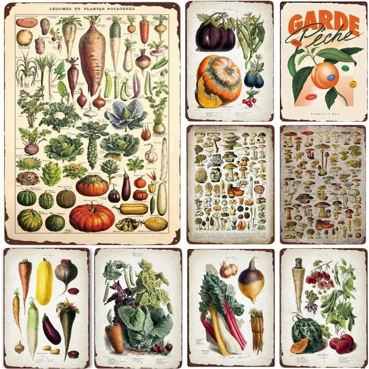 Vegetable Plants Poster Vintage Fruits Metal Tin Signs Retro Cauliflower Wall Art Sign Garden Kitchen Farm Flowers Plate Decor