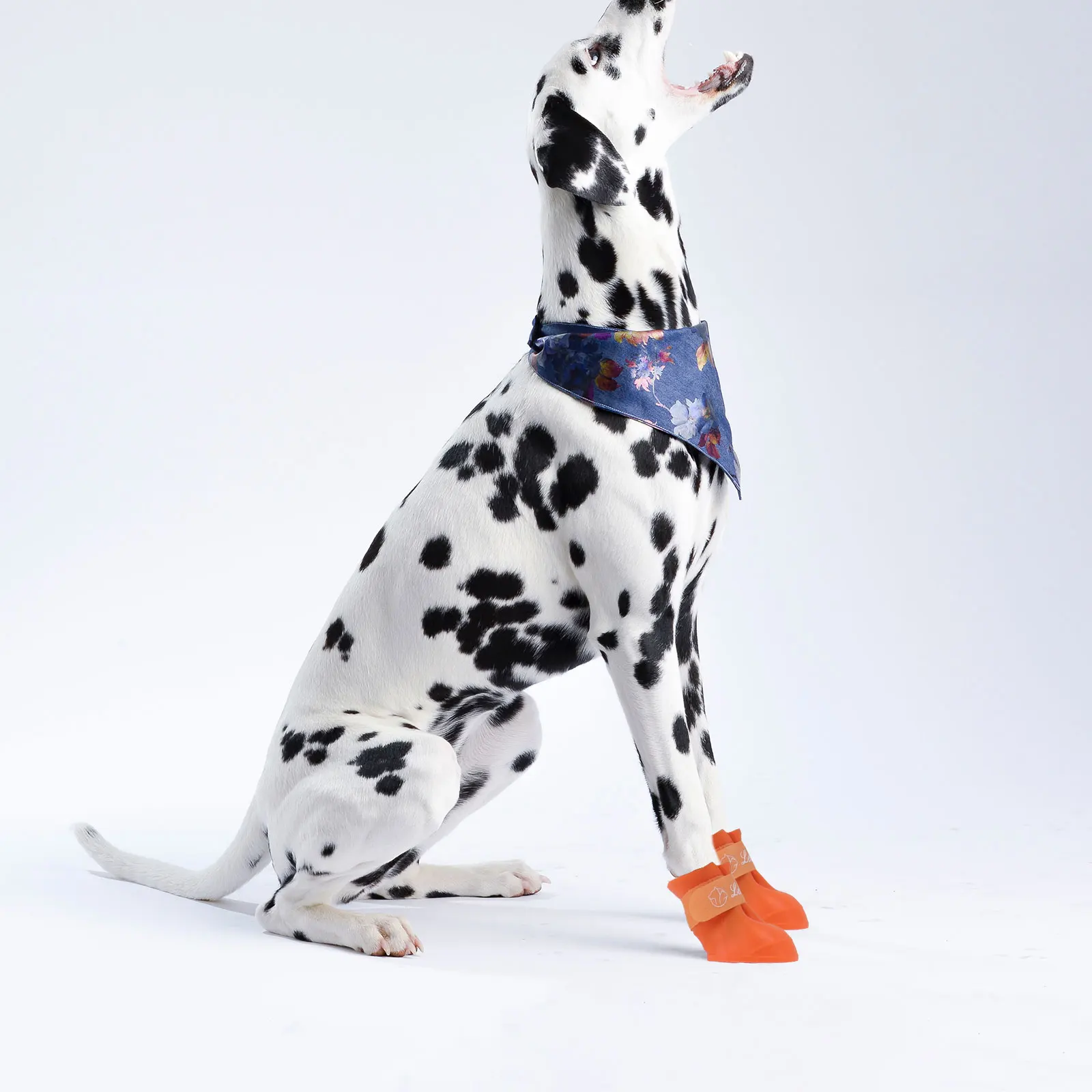 

Little Pet Dog Puppy Anti-slip Rain Snow Boots Candy Colors Rubber Waterproof Boots Shoes - Size (Orange)