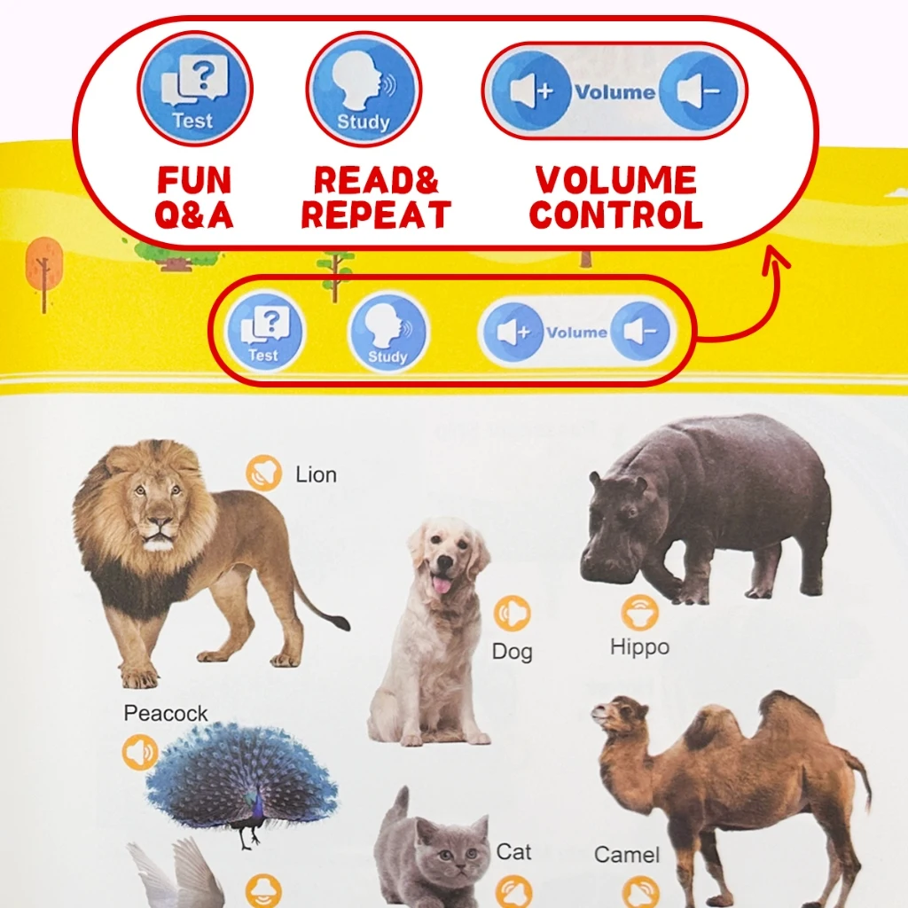 My First Words Sound Book for Kids, 13 Themes 300+ Everyday Words, Early English Vocabulary Learning Picture Book for Toddlers view 5