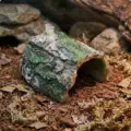 Basking Bark Cave