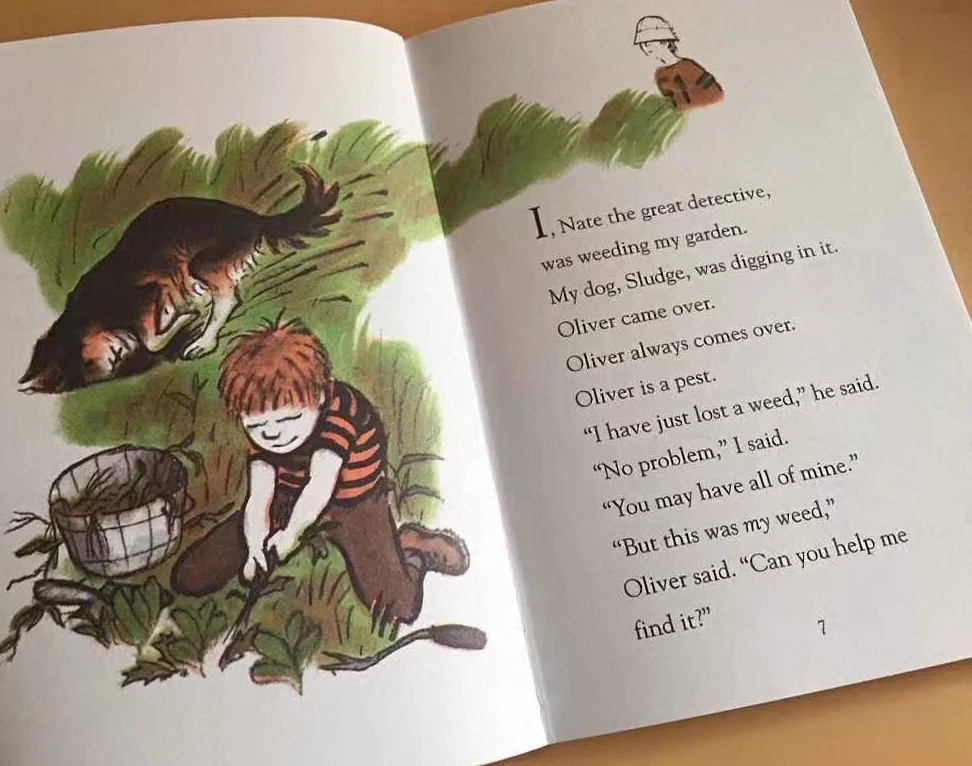 10 book Nate the Great Book -  - Kids Educational Reader 评论和价格