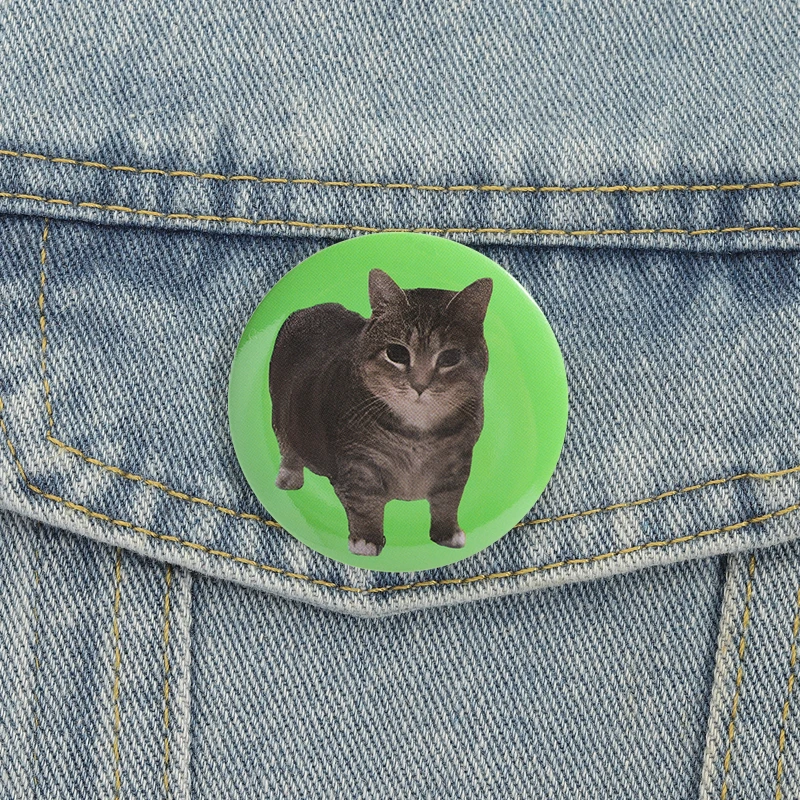 Süße Katze Memes Emaille Pins Lustige Oiia Kätzchen Broschen 44mm Revers Abzeichen Cartoon Tiere Schmuck Geschenk für Freunde