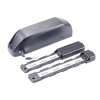 Hailong Downtube e-bike battery 48V 15Ah for Fucare Gemini X Libra electric bike 750W Motor with 30A BMS