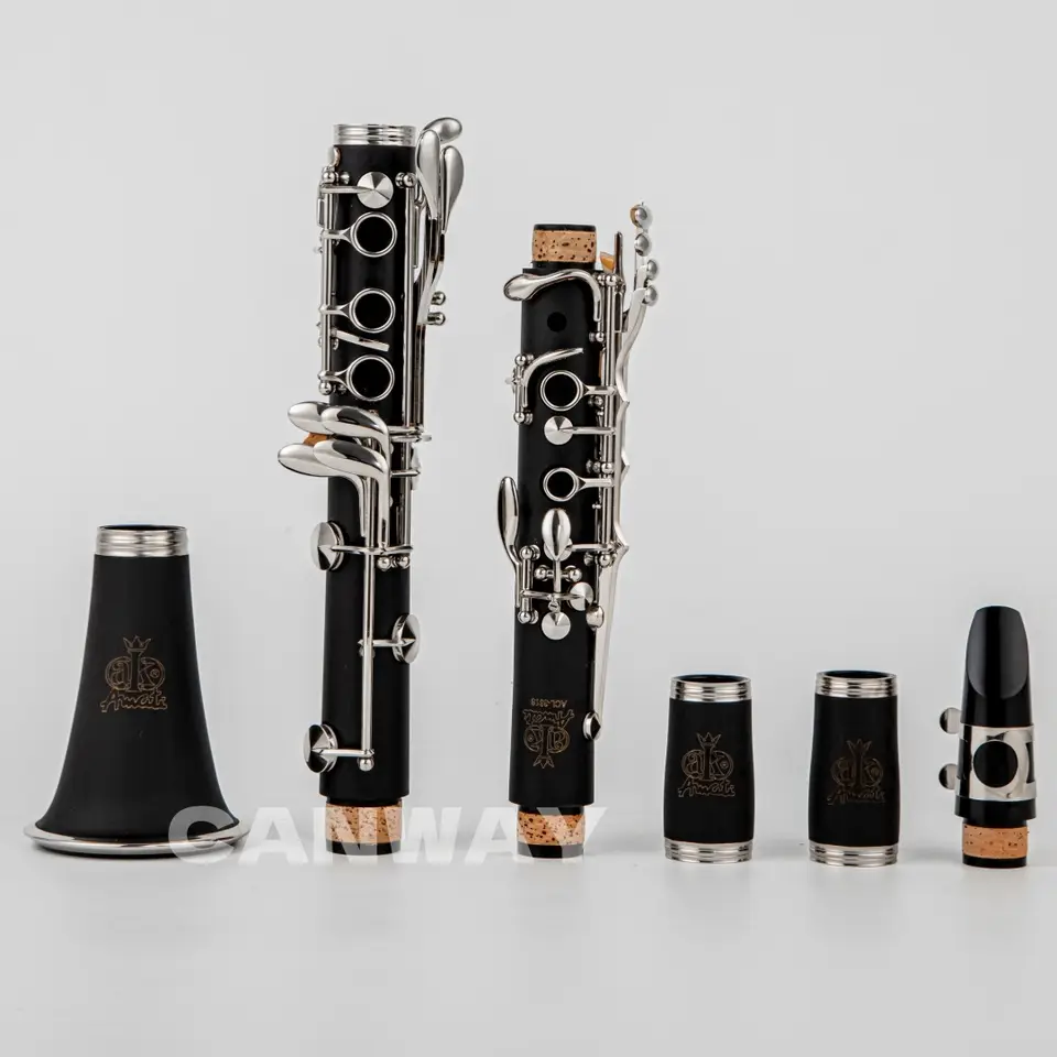 Clarinetto Portatile In Sib Professionale - Con Accessori, Ideale Per Bambini E Principianti